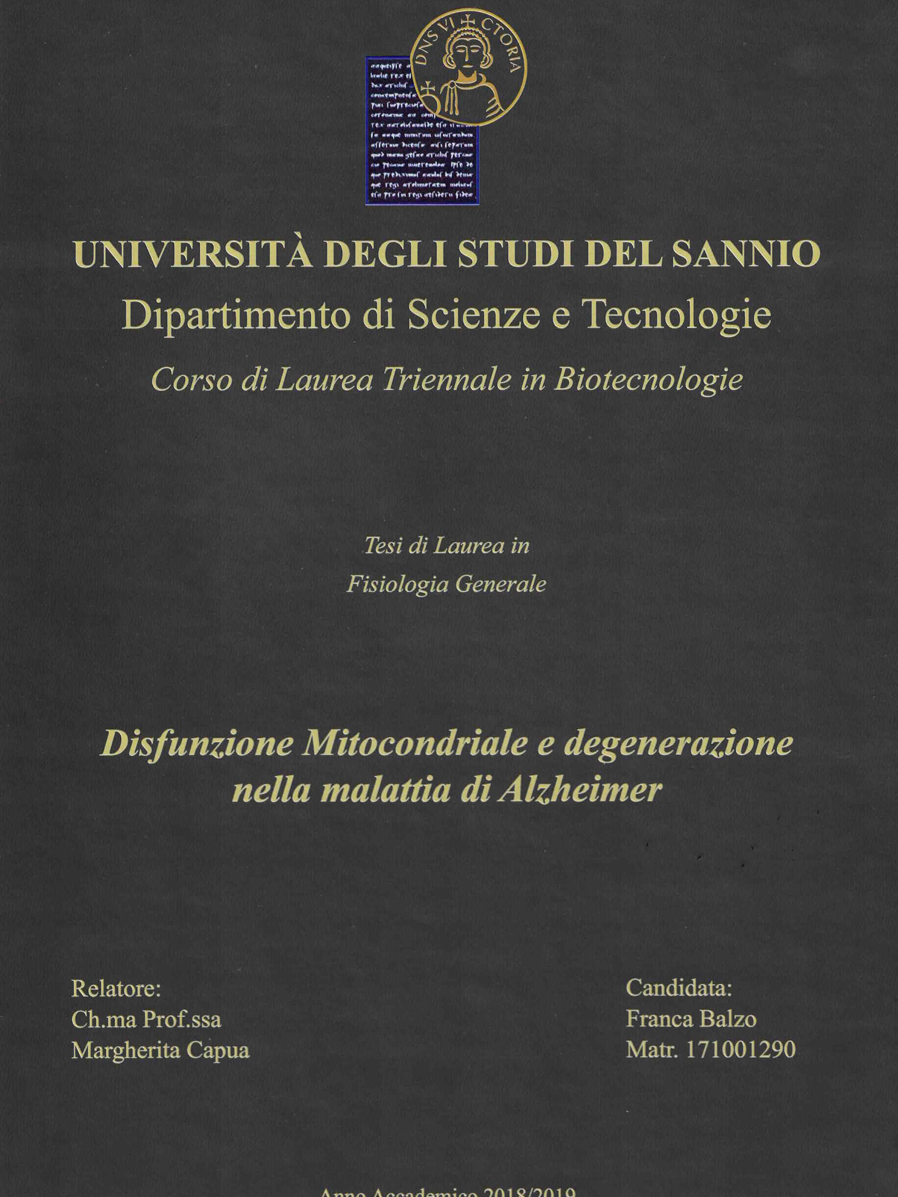 Copertina Pelle soft grigio